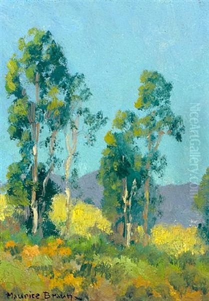 Blue Skies Over California Hills by Maurice Braun