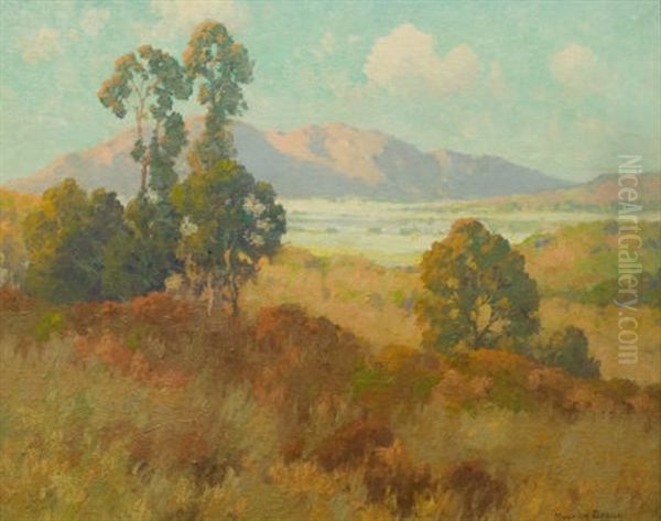 Valley In Summer Oil Painting by Maurice Braun