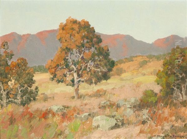 California Hills Oil Painting by Maurice Braun