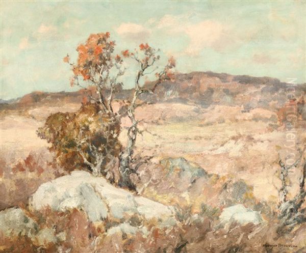 Sycamore In Autumn Oil Painting by Maurice Braun