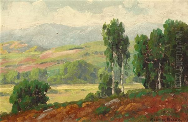 Eucalyptus On A California Hillside Oil Painting by Maurice Braun