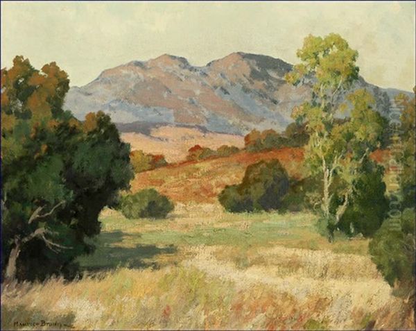 San Diego Summer Landscape Oil Painting by Maurice Braun