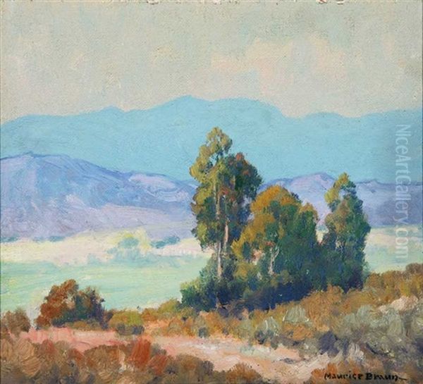 San Diego Area Landscape Oil Painting by Maurice Braun