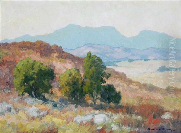 San Diego Area Landscape Oil Painting by Maurice Braun