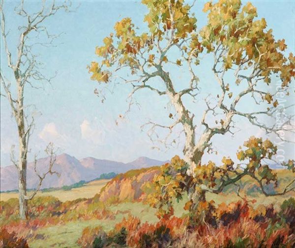 Landscape - The Sycamore Oil Painting by Maurice Braun