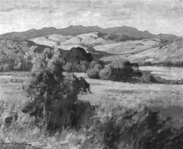 Evening Light - A California Landscape Oil Painting by Maurice Braun