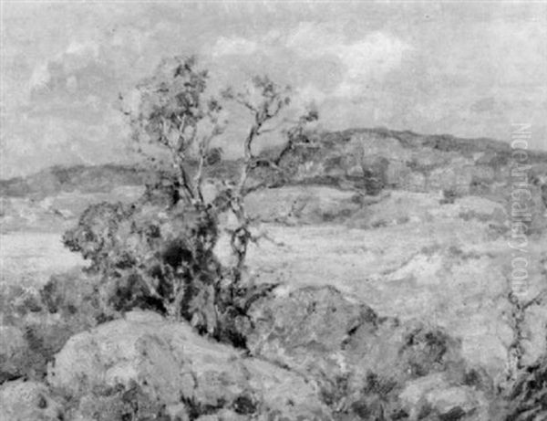 Sycamore In Autumn/the California Desert Oil Painting by Maurice Braun