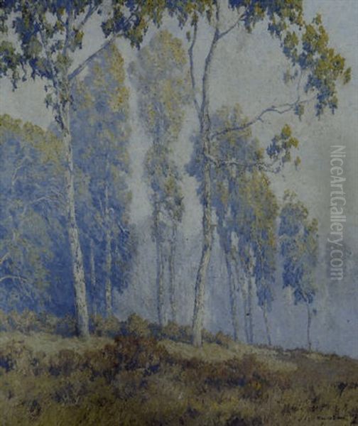 Eucalyptus Trees In The  Mist Oil Painting by Maurice Braun