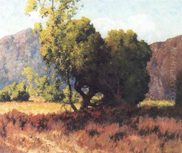 Oaks Oil Painting by Maurice Braun