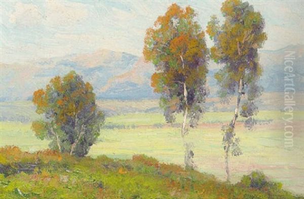 San Diego Landscape Oil Painting by Maurice Braun