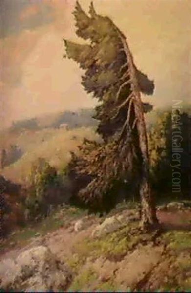 Windswept Pine Oil Painting by Maurice Braun