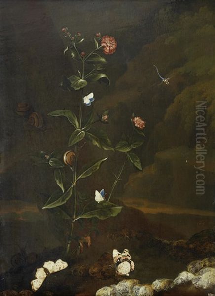 A Carnation, Banded Snails, A Damsel-fly, A Red Admiral And Various Other Butterflies In A Forest Oil Painting by Dirk de Bray