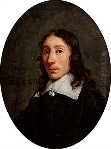 Portrait Of A Young Man In A Black Coat With A Lace Collar Oil Painting by Jan De Bray