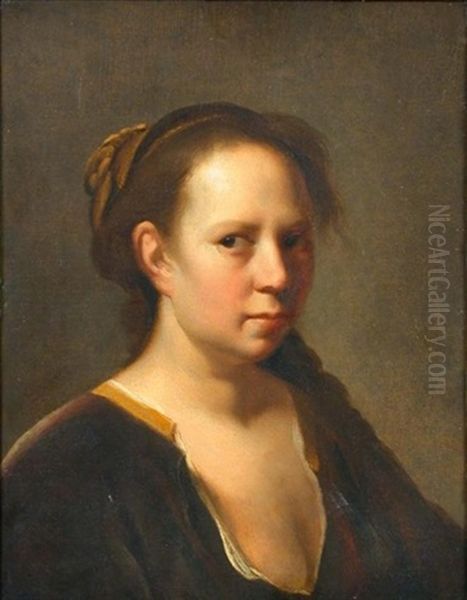 Portrait Of A Girl In A Brown Velvet Dress Oil Painting by Jan De Bray