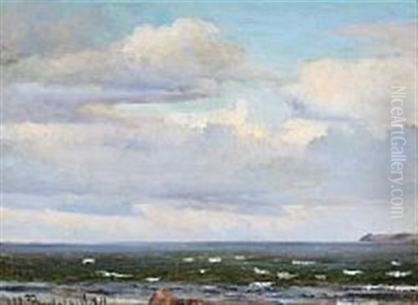 Coastal Scene With Clouded Sky Oil Painting by Johan Ulrik Bredsdorff