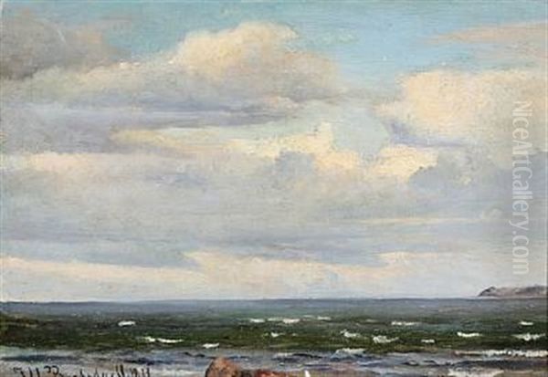 Coastal Scene With Clouded Sky Oil Painting by Johan Ulrik Bredsdorff