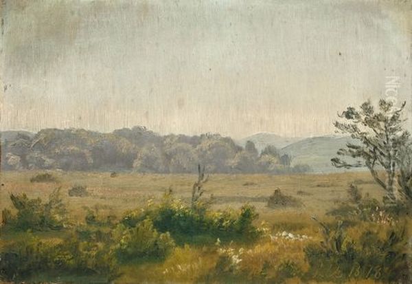 Landschaft Bei Raunsholt In Vendsyssel (nord-jutland) Oil Painting by Johan Ulrik Bredsdorff