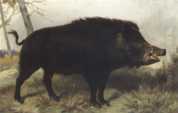 Ein Wildschwein Oil Painting by Theodor Breitwieser