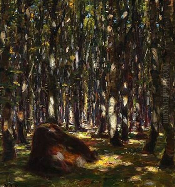 Sunlight In The Woods Oil Painting by Hans Andersen Brendekilde