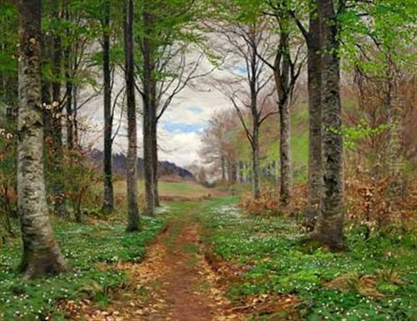 Spring Day In The Woods With Beeches And Anemones Oil Painting by Hans Andersen Brendekilde