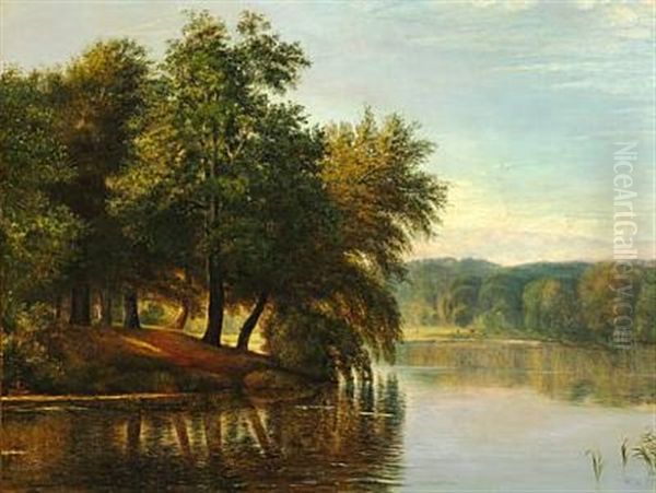 Danish Late Summer Landscape With Tall Trees At A Stream Oil Painting by Thorald Brendstrup