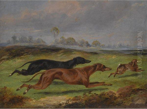 Two Lurchers Coursing Oil Painting by Henry Thomas Alken