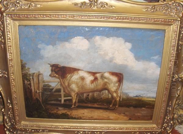 A Prize Cow Oil Painting by Henry Thomas Alken