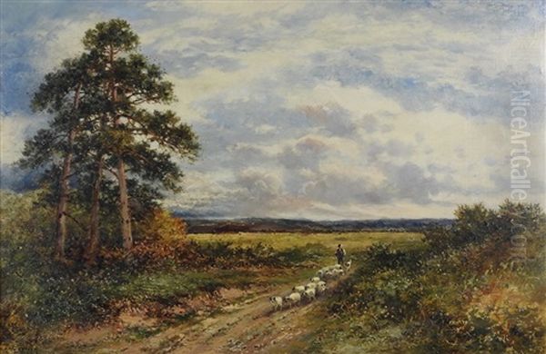 Hambledon Common, Surrey by Carl Brennir