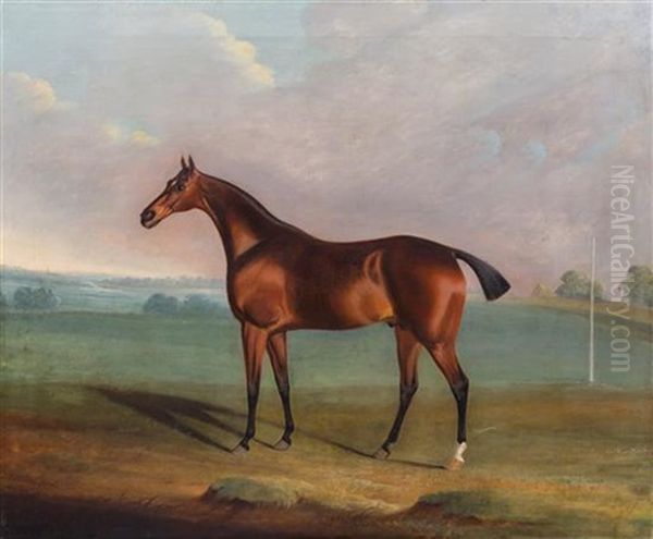 The Brown Horse Oil Painting by Robert Brereton