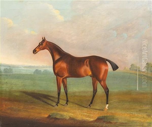 The Brown Horse Oil Painting by Robert Brereton