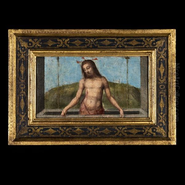 Le Christ Au Tombeau Oil Painting by Andrea del Brescianino