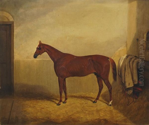 Racing Horse In A Stable, Reputed To Be Daniel O'rourke, Winner Of The Epsom Derby, 1852 Oil Painting by Thomas Walker Bretland