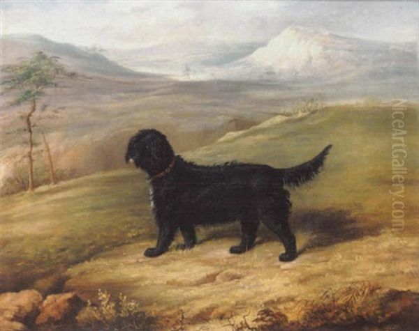 Romp, An Irish Water Spaniel In A Landscape by Thomas Walker Bretland