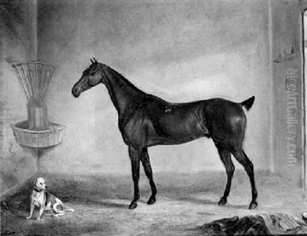 A Bay Racehorse And A Terrier In A Stable Oil Painting by Thomas Walker Bretland