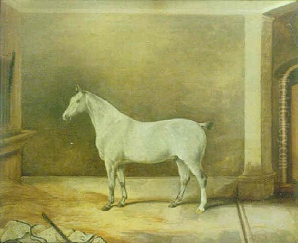 A Grey Gelding In A Stable Oil Painting by Thomas Walker Bretland