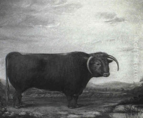 A Brown Prize Bull In A Landscape Oil Painting by Thomas Walker Bretland