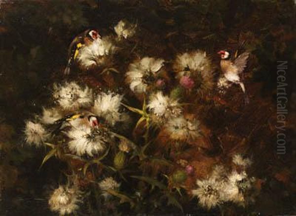 Goldfinches On Thistledown Oil Painting by Andrew Allan