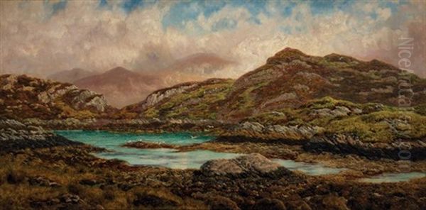 Some Fell On Stony Ground Oil Painting by John Brett