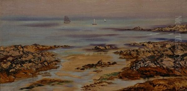 On The South Coast Of England Oil Painting by John Brett