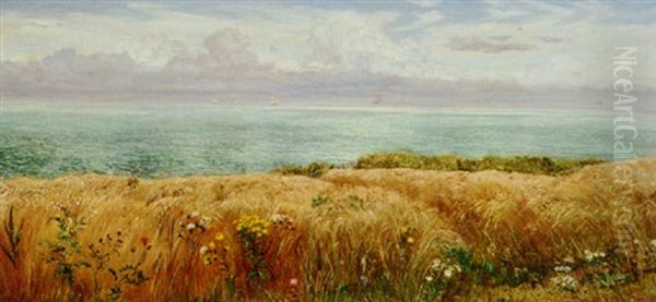 Across The Hayfield To The Sea by John Brett