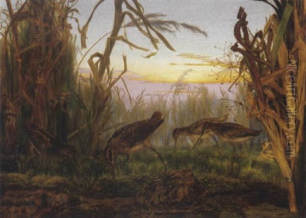 Woodcocks In A Marsh Oil Painting by Rosa Brett