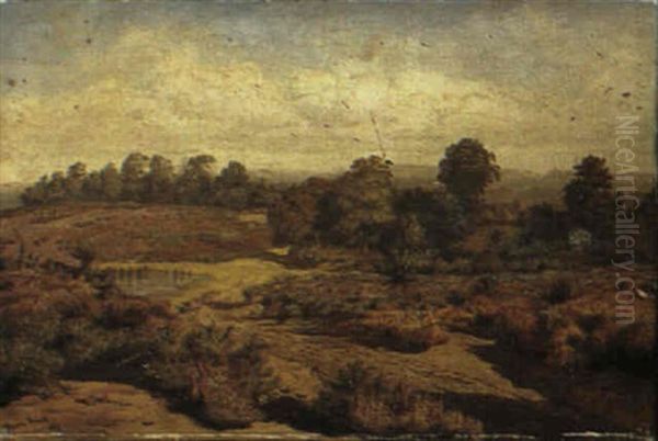 Heathland Oil Painting by Rosa Brett