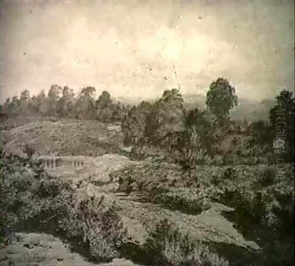 Heathland Oil Painting by Rosa Brett