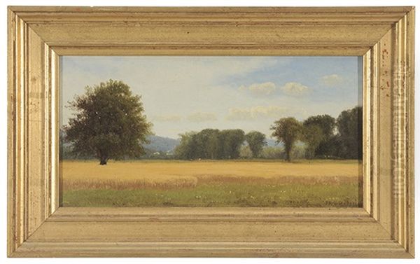 View Of A Field by James Renwick Brevoort