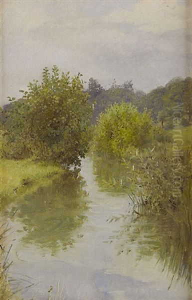 A Stream In Surrey, England by Anna Richards Brewster