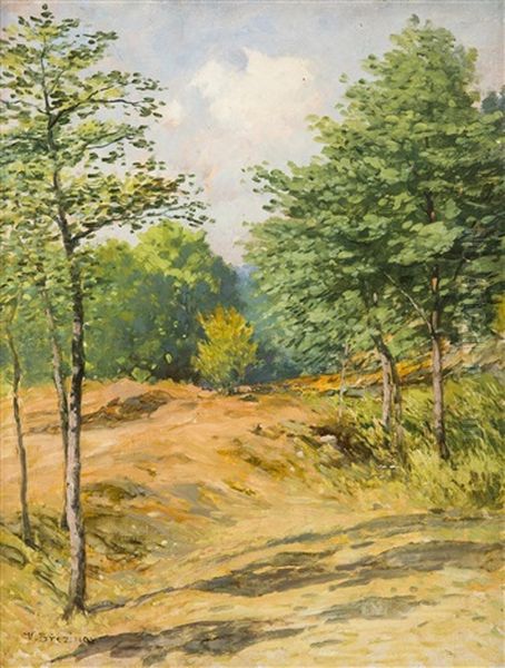 Summer Landscape Oil Painting by Vaclav Brezina