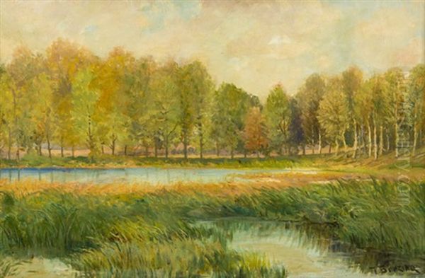 Okraj Rybnika Oil Painting by Vaclav Brezina