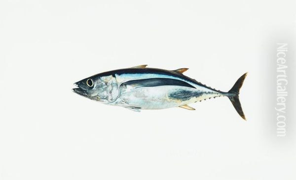 Albacore Oil Painting by Sir William Allan