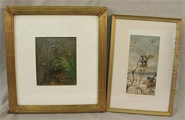 Two Ornithological Paintings Oil Painting by Fidelia Bridges