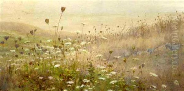 Field Of Queen Anne's Lace In An Extensive Landscape Oil Painting by Fidelia Bridges